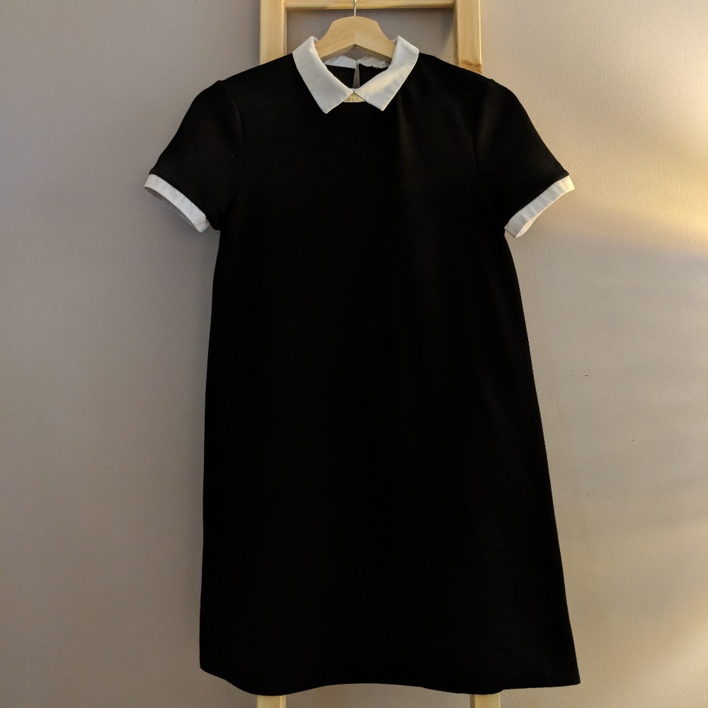 Zara Collared Shift Dress